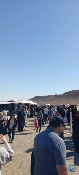 عکس جمعه بازار قم؛ میوه و تره بار در خیابان ظهور 2