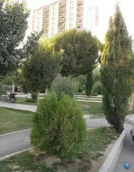 عکس پارک بنفشه، محله شیخ اشراق، اصفهان 5