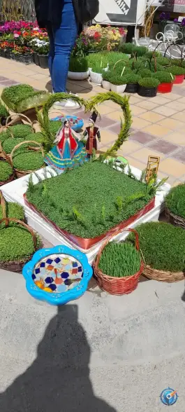 عکس گل فروشی شادی؛ محله آهنگران، اصفهان 2