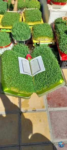 عکس گل فروشی شادی؛ محله آهنگران، اصفهان 3