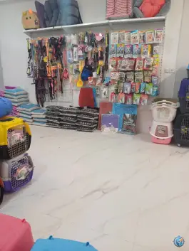 عکس کلینیک دامپزشکی نیلا، بلوار امام خمینی، کرج 6