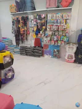 عکس کلینیک دامپزشکی نیلا، بلوار امام خمینی، کرج 8