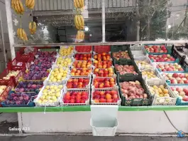 میوه فروشی قهرمان پور، کوی گلها، کرج