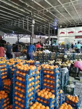 میدان تره بار و میوه قلعه بان، محله کوجان اصفهان