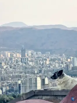 استخر ائل باغی، جاده چاوان، تبریز