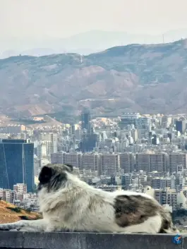 عکس استخر ائل باغی، جاده چاوان، تبریز 3