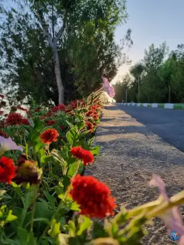 عکس استخر ائل باغی، جاده چاوان، تبریز 4
