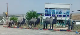 عکس زیپ لاین رویای پرواز مشگین شهر 2