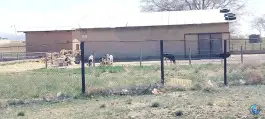 عکس دانشگاه زنجان، زنجان 6