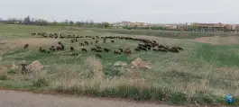 عکس دانشگاه زنجان، زنجان 10
