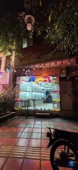 عکس پرنده فروشی پر طلایی میثم، چهار مردان قم 2