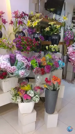 عکس گل لیندا؛ محله کوجان، اصفهان 6