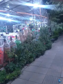 گلفروشی کریمی بلوار شهید رجایی کرج