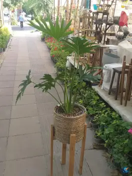 عکس گلفروشی کریمی بلوار شهید رجایی کرج 2