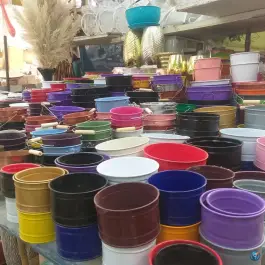 عکس گلفروشی کریمی بلوار شهید رجایی کرج 3
