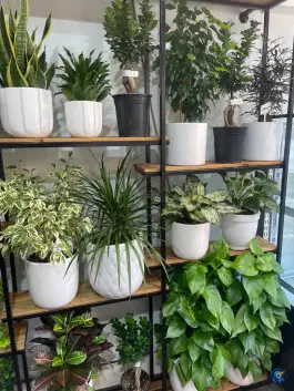 عکس کافه گل، محله نقش جهان اصفهان 2