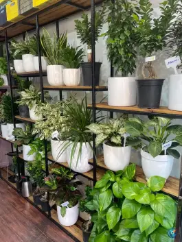 عکس کافه گل، محله نقش جهان اصفهان 4