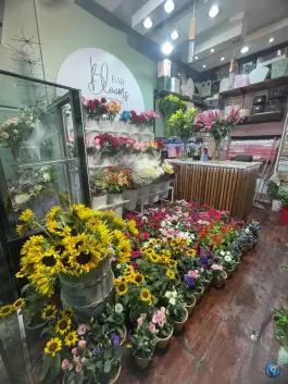 عکس کافه گل، محله نقش جهان اصفهان 7