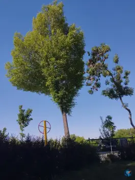 عکس بوستان مهر اصفهان؛ محله قلعه فروشان 5