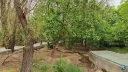 عکس پارک محله حاجی آباد کرج 5