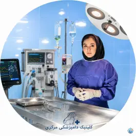 کلینیک دامپزشکی مرکزی دکتر مریم حیدرلو، قم