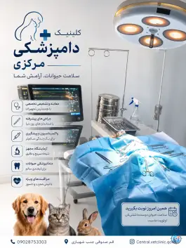عکس کلینیک دامپزشکی مرکزی دکتر مریم حیدرلو، قم 2