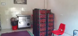 عکس آبلیمو و آبغوره گیری عابدینی در برازنده اصفهان 2