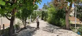 عکس باغ رستوران گلخون، محله میرزای شیرازی، شیراز 3