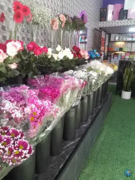 گلفروشی هلین، خانه اصفهان، اصفهان