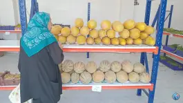 عکس تره بار پیام، مسکن مهر کرج 6