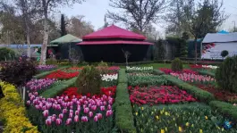 عکس بوستان چمران، بلوار چمران، کرج 4
