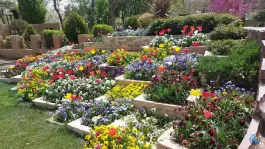 عکس بوستان چمران، بلوار چمران، کرج 9