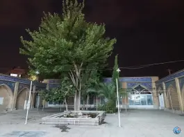عکس مسجد فروغی، محله بوزان، اصفهان 3