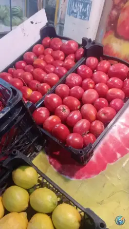 عکس میوه فروشی باغ مشهد اصفهان 2