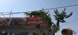 عکس نانوایی گل گندم، چالوس، کرج 5