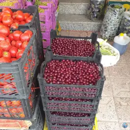 میوه و سبزیجات زمانی؛ محله کلمان اصفهان