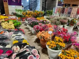 عکس سالن گل های سر شاخه، ارغوانیه، اصفهان 3