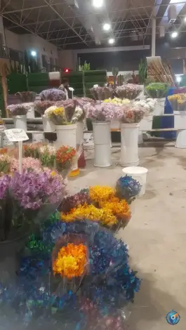 عکس سالن گل های سر شاخه، ارغوانیه، اصفهان 6