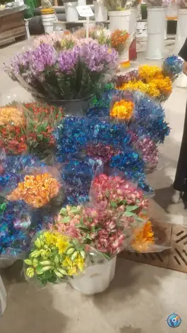 عکس سالن گل های سر شاخه، ارغوانیه، اصفهان 7