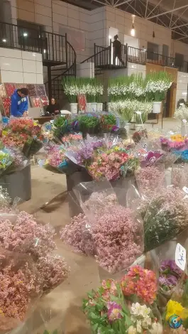 عکس سالن گل های سر شاخه، ارغوانیه، اصفهان 8