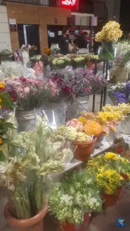 عکس سالن گل های سر شاخه، ارغوانیه، اصفهان 9