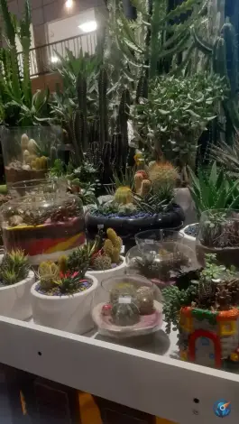 عکس سالن گل های سر شاخه، ارغوانیه، اصفهان 10