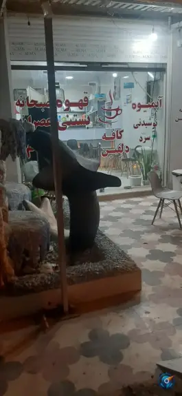 عکس های کافه دلفین بندزرک رودان