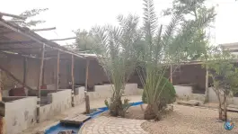 عکس سفره خانه هزاردستان، محله نصر، شیراز 4