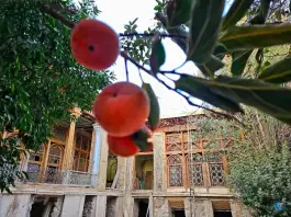 عکس عمارت حکیم السلطنه، گود عربان، شیراز 3