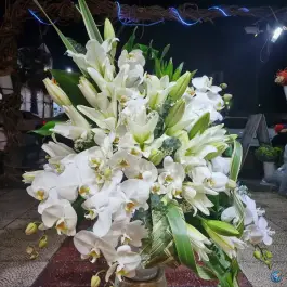 گلکده سرحد آباد، جاده ملارد کرج