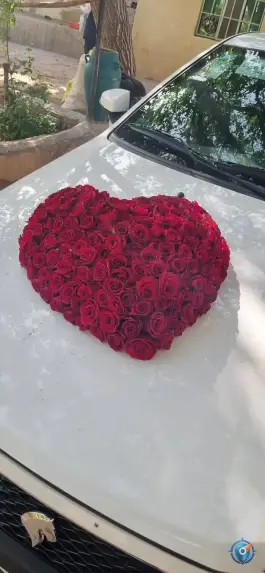 عکس گلکده سرحد آباد، جاده ملارد کرج 2