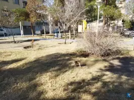 بوستان شمشاد ملک شهر اصفهان