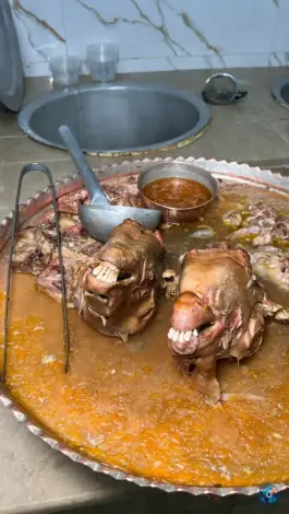 عکس کله پزی دایی نعمت، بلوار دکتر حسابی، شیراز 5
