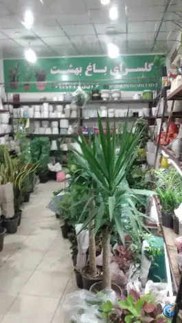 عکس گل سرای باغ بهشت، بعثت ۲۲، قم 2